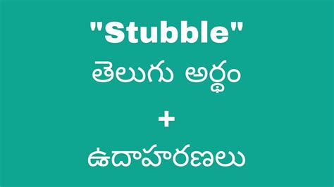 stubble meaning in telugu
